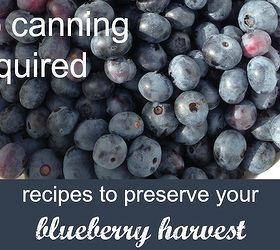 gardening ideas blueberries preserving harvesting, homesteading