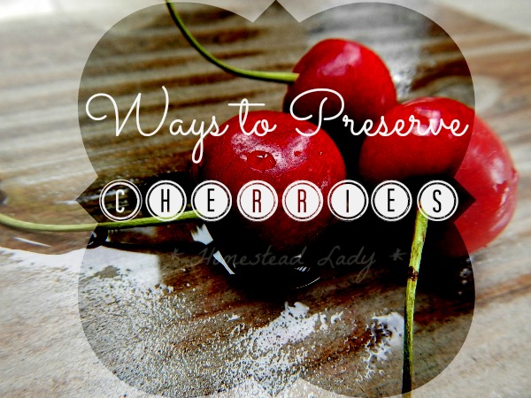 gardening ideas preserve cherries, homesteading