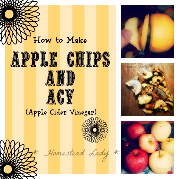 gardening ideas apple chips, homesteading
