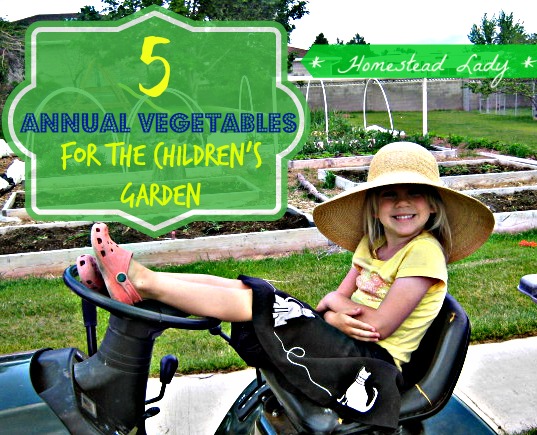 gardening veggies childrens garden, gardening
