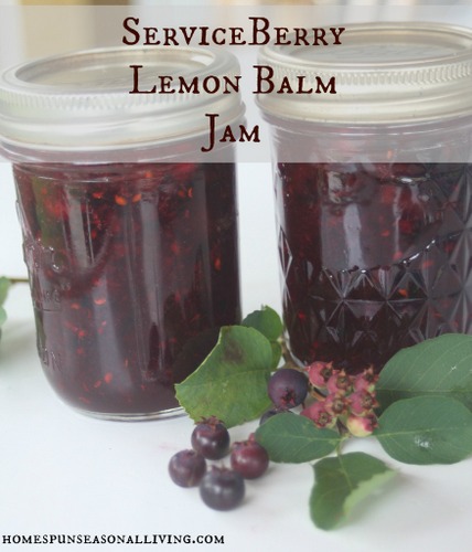 gardening jam serviceberry lemon balm, gardening, homesteading