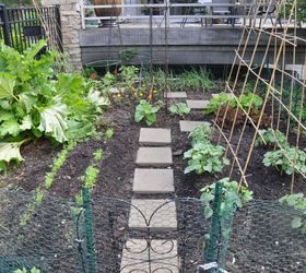kitchen garden update, gardening, kitchen design