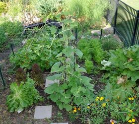 kitchen garden update, gardening, kitchen design