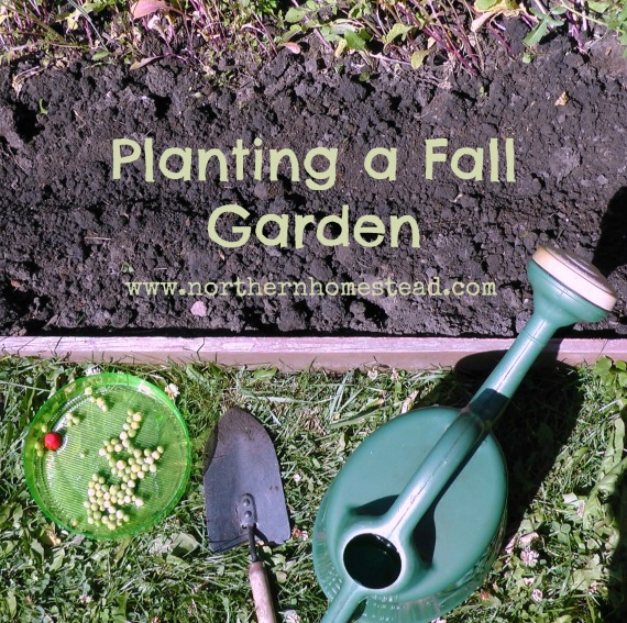when to plant what for a fall garden, gardening