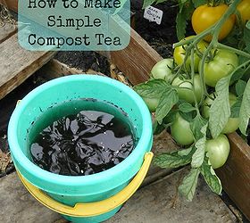 Simple Compost Tea