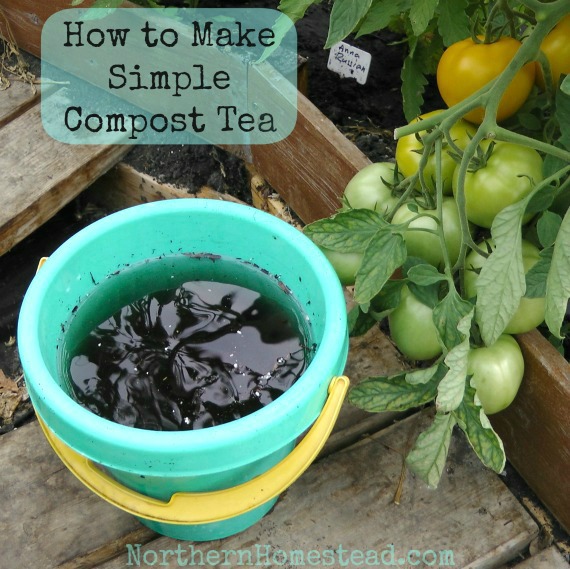 simple compost tea, composting, go green, homesteading