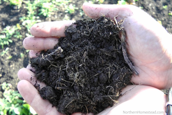 simple compost tea, composting, go green, homesteading