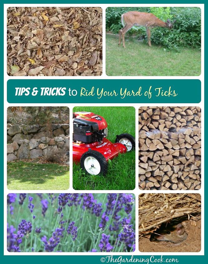 tips tricks to get the ticks out of your yard, gardening, landscape, pest control