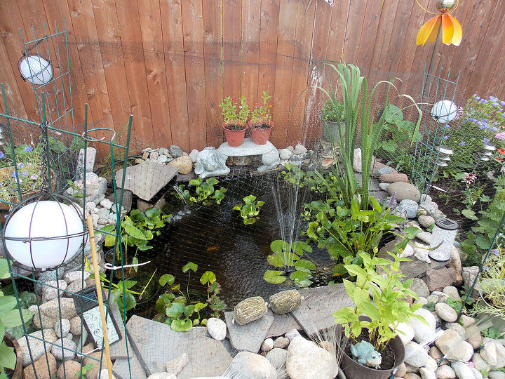 gardening backyard pond summer, flowers, gardening, landscape, ponds water features