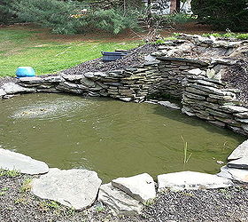 backyard landscape design pond rebuild, landscape, outdoor living, ponds water features, before pond