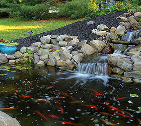backyard landscape design pond rebuild, landscape, outdoor living, ponds water features, the new pond