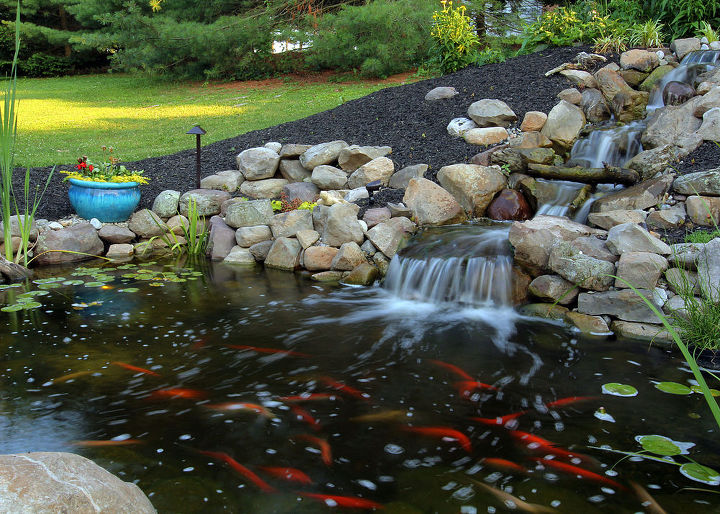 backyard pond rebuild hometalk