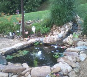 Our Pond