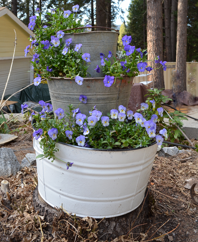 gardening planters wine barrel bucket, container gardening, gardening, repurposing upcycling