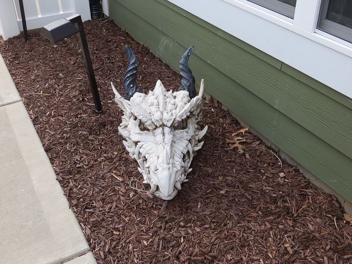 q antiquing fiberglass dragon, crafts, repurposing upcycling, Dragon skull