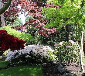 how we are turning a foreclosure yard into gardens of beauty, curb appeal, flowers, gardening, landscape, outdoor living, From the steps through the trees