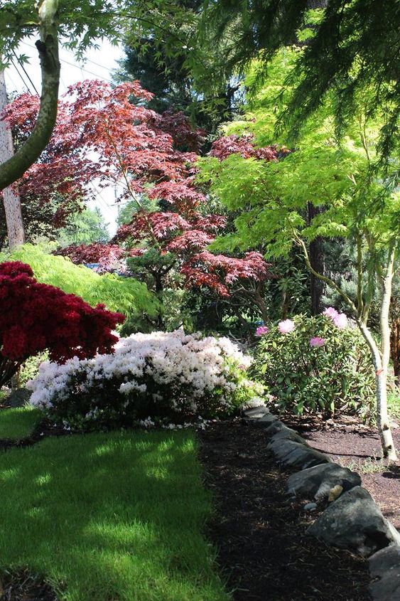 how we are turning a foreclosure yard into gardens of beauty, curb appeal, flowers, gardening, landscape, outdoor living, From the steps through the trees