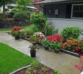 how we are turning a foreclosure yard into gardens of beauty, curb appeal, flowers, gardening, landscape, outdoor living, Musical azaleas