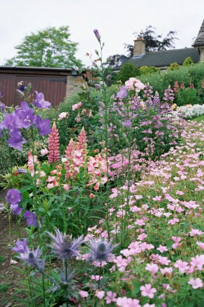 gardening landscape transformation, flowers, gardening, landscape
