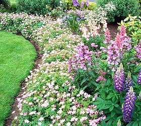 gardening landscape transformation, flowers, gardening, landscape