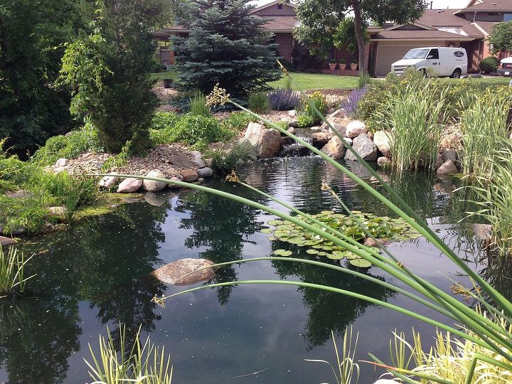 rebuilding a 1 2 mile stream, landscape, outdoor living, ponds water features
