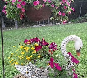 gardening ideas planter flower swan, container gardening, flowers, gardening