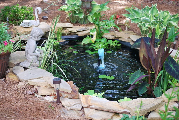 gardening backyard georgia pond, gardening, landscape, outdoor living, ponds water features, Before