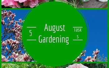  Cinco coisas para fazer no seu jardim em agosto