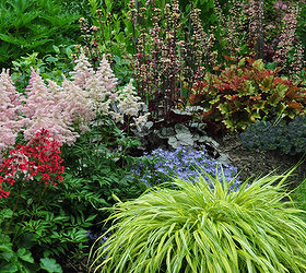 gardening tips heuchera shading colorful, gardening, Private Garden in Brampton ON