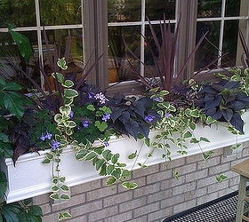 curb appeal flower boxes, curb appeal, flowers, gardening