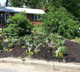 curb appeal fron yard update, curb appeal, gardening, landscape, lawn care