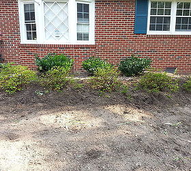 curb appeal fron yard update, curb appeal, gardening, landscape, lawn care