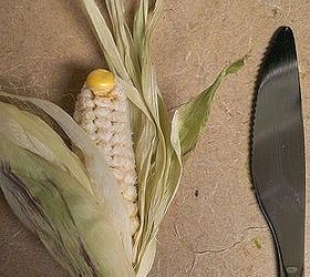 q my container corn flopped anyone know why, container gardening, gardening, The best little ear out of the lot