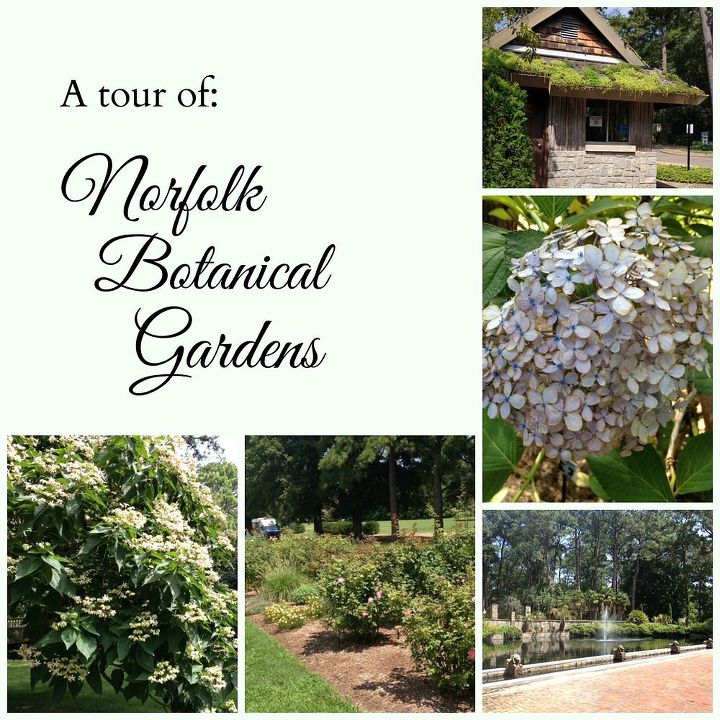 gardening ideas botanical garden norfolk, gardening, outdoor living