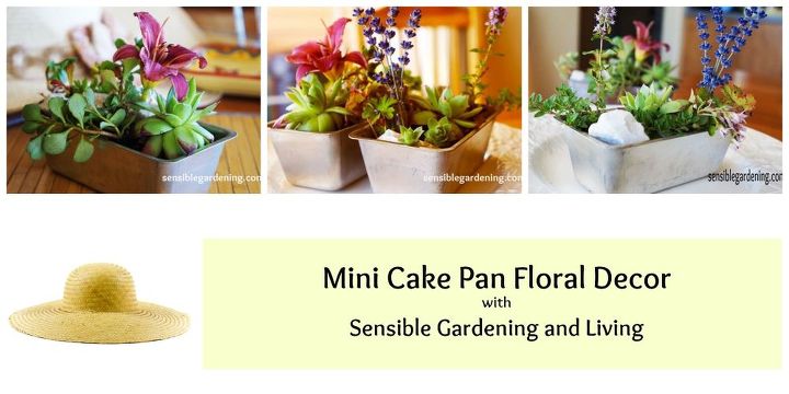 gardening ideas indoor planter mini cake pan, container gardening, gardening, repurposing upcycling