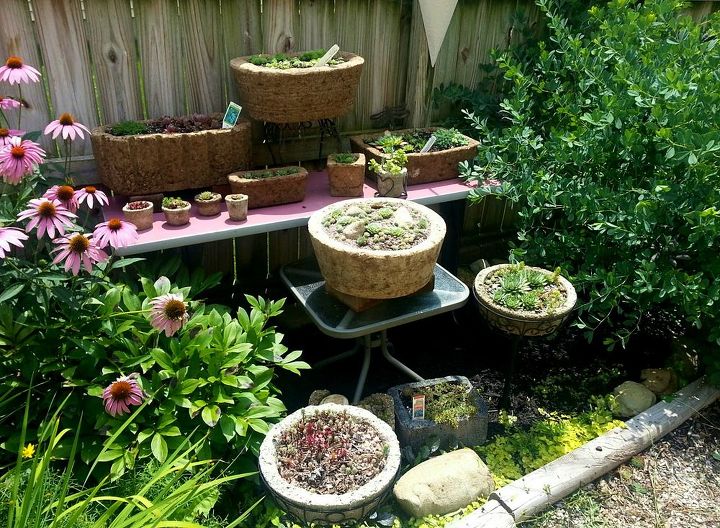 succulents hypertufa planters, container gardening, gardening