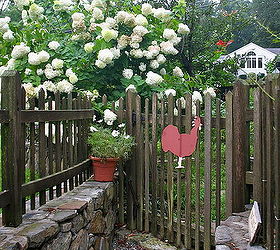 gardening hydrangea varieties garden, flowers, gardening, hydrangea