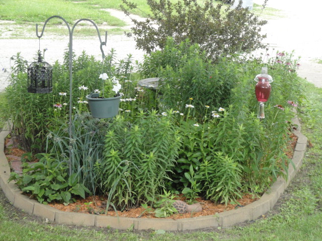 gardening backyard therapy, gardening