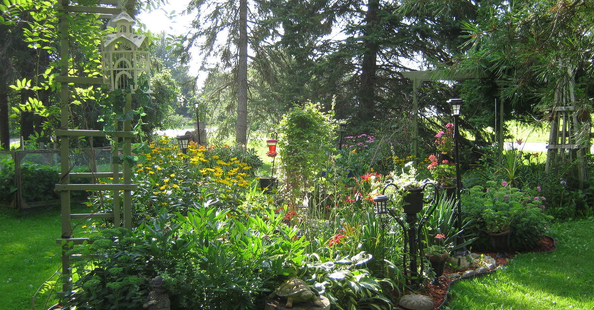Some Views Around My Gardens Zone 5 Ontario Canada Hometalk