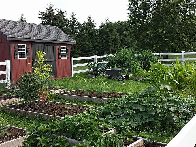 gardening farm vegetable, gardening