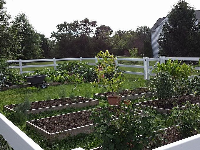 gardening farm vegetable, gardening