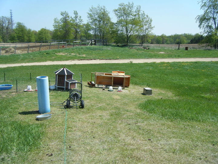 q chicken coops off ground information, diy, homesteading, pets animals, woodworking projects, The wind was just enough to make the grass wave this wasn t any big storm