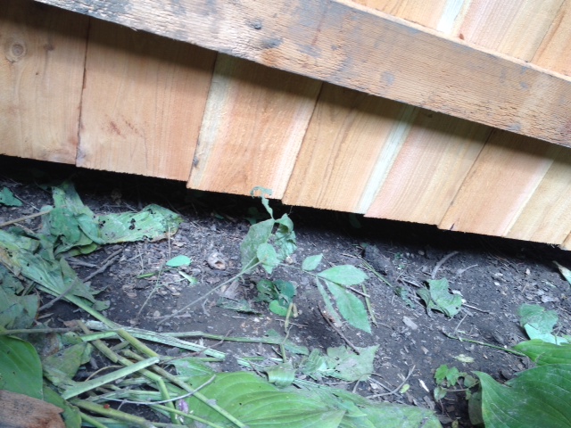 how to correct poorly installed wood fence, Shows lower rail not in correct place at bottom of boards and gap between boards and fence