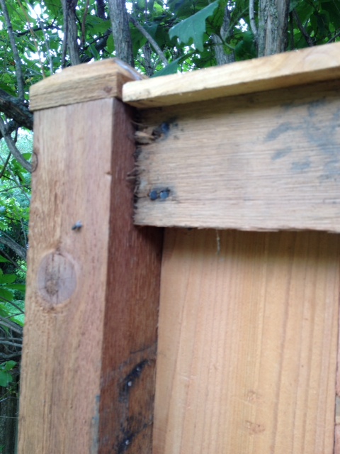 how to correct poorly installed wood fence, Upper rail has been moved to top of pole and hammered over first set of nail holes