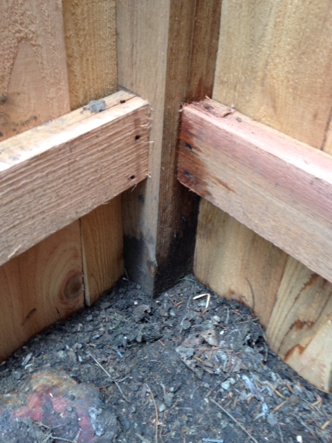 how to correct poorly installed wood fence, Bottom corner shows rail in wrong place poor cuts and not flush This is one place there is no gap