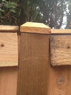 how to correct poorly installed wood fence, Shows post cap top rails once they were removed and placed at top Poor cuts boards not flush Most of posts look this way on both sides