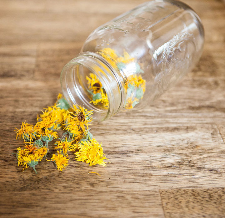 colheita e secagem de flores medicinais