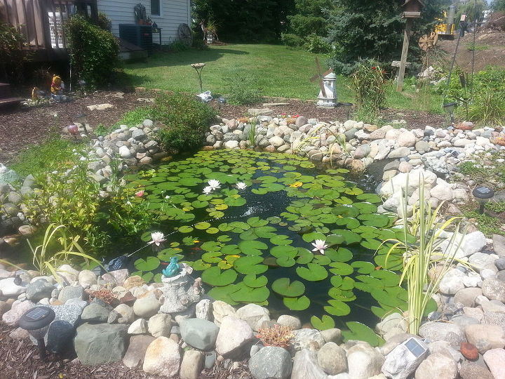 peaceful yard to read or just enjoy the outdoors, landscape, outdoor living, ponds water features