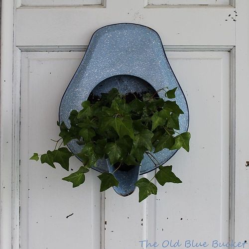 a new spin on a potted plant, container gardening, gardening, repurposing upcycling
