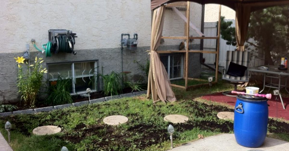 Backyard Makeover Hometalk